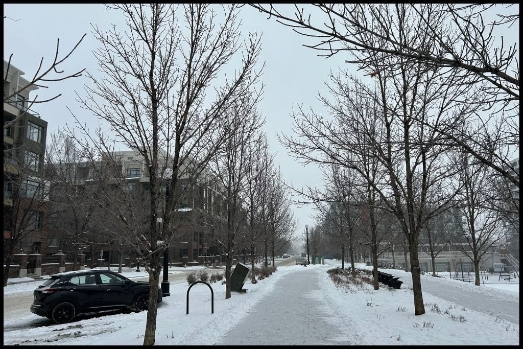 A winter day in Bridgeland Calgary.