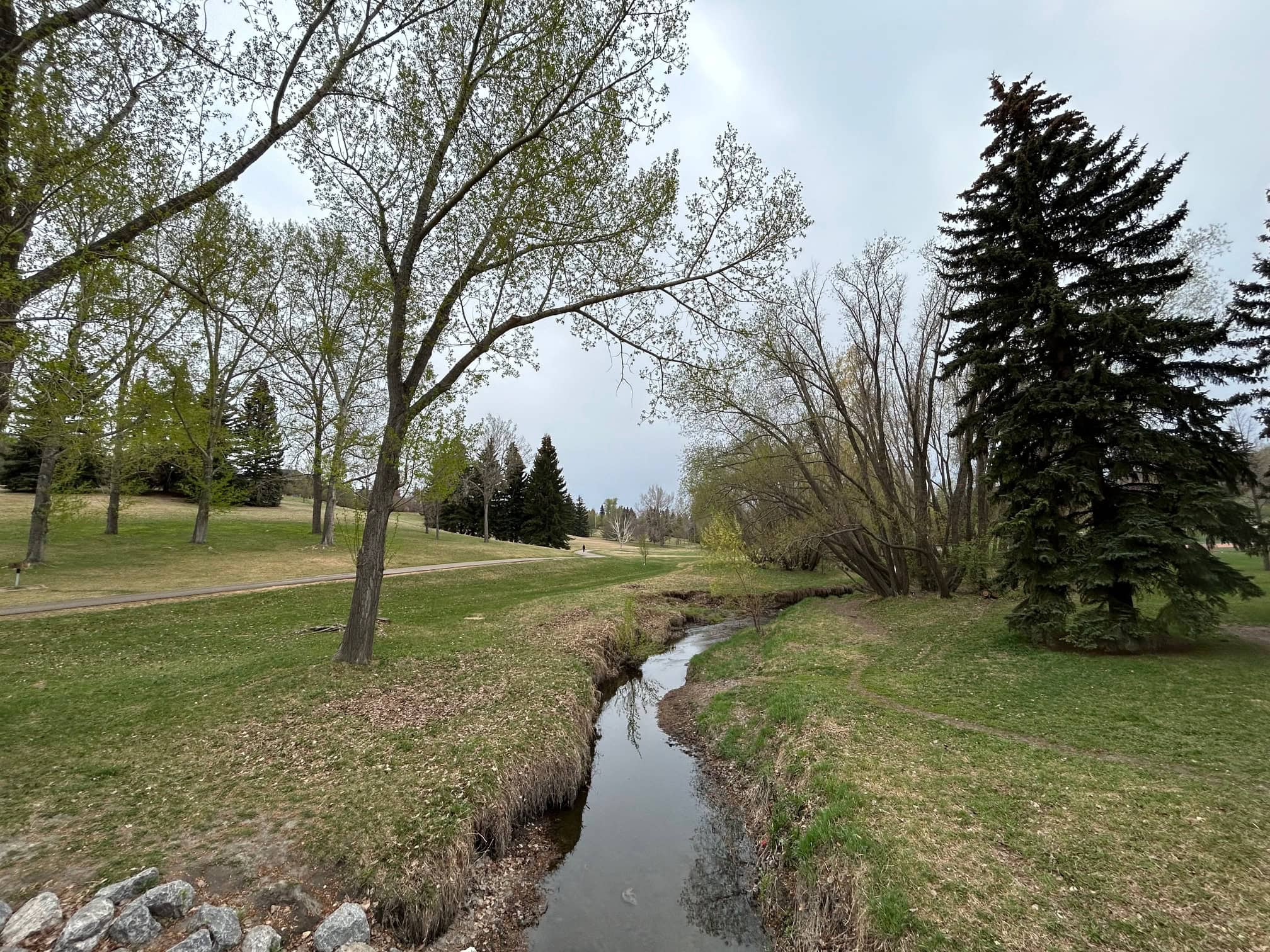 Confederation Park Calgary