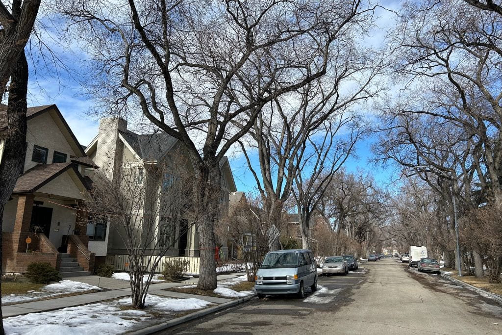 Luxury real estate in Rosedale, Calgary, with tree-lined streets and large estate homes.