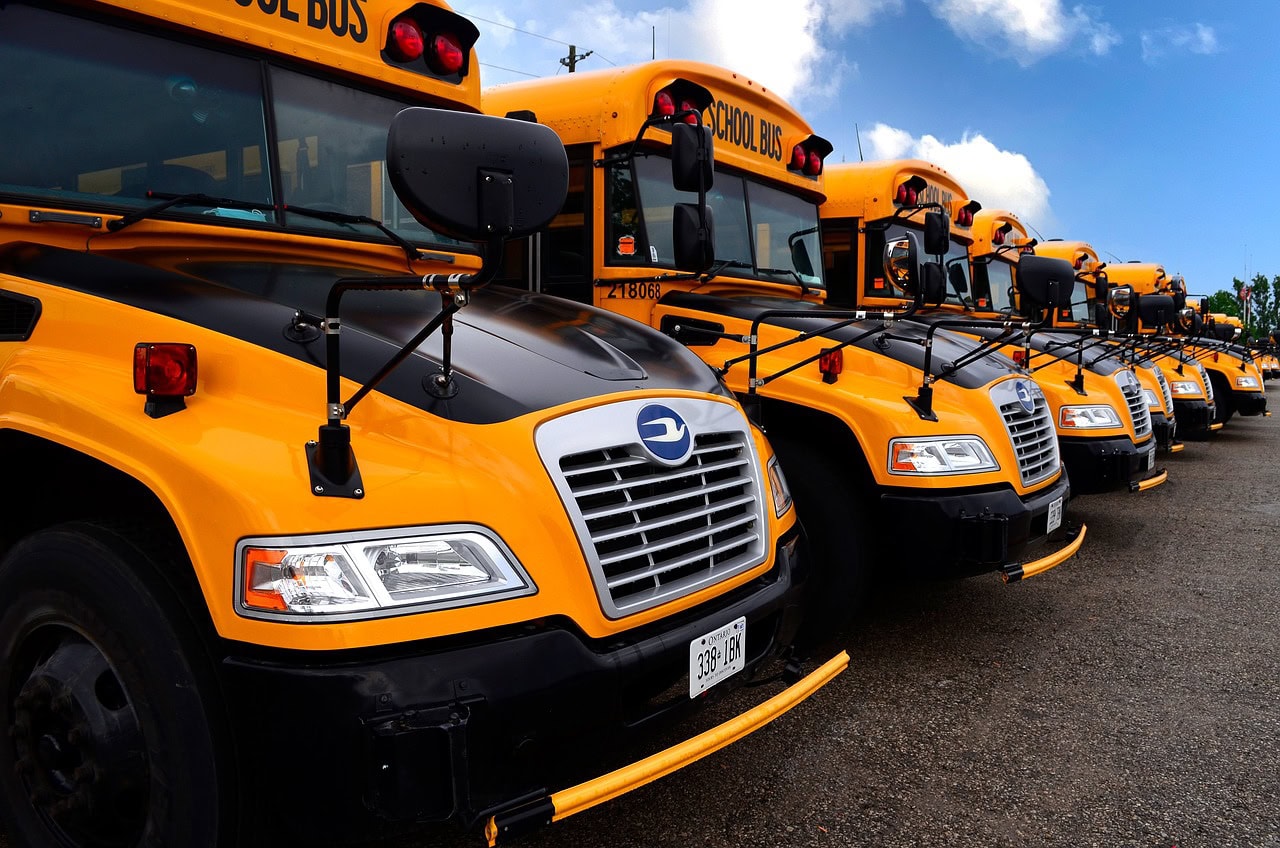 School buses in Calgary