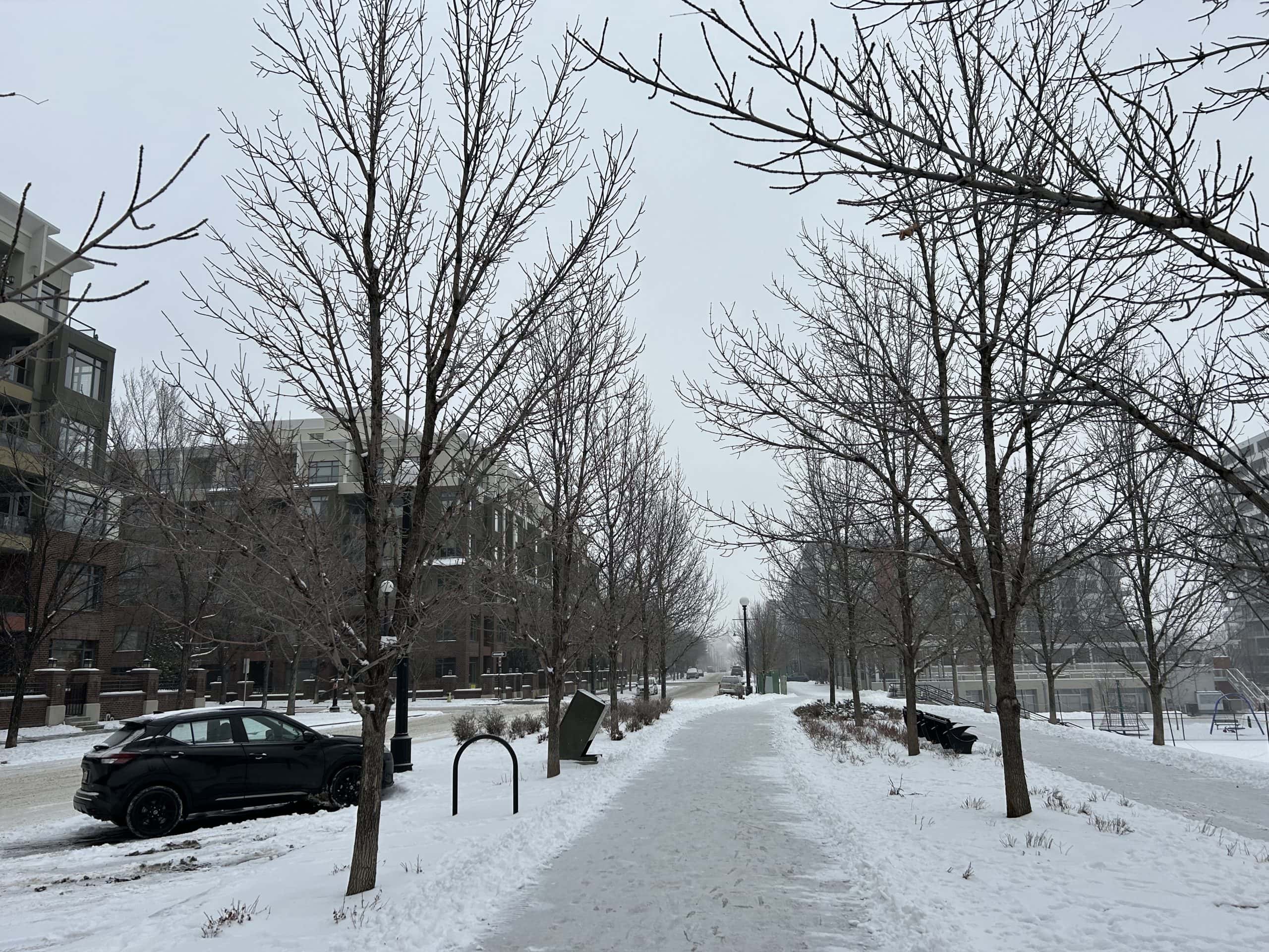 Condo developments in Bridgeland, Calgary.