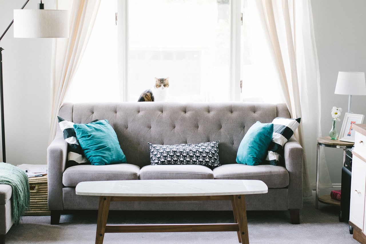 Bright and spacious living room with modern decor, highlighting the value of quality real estate photography for effective marketing.