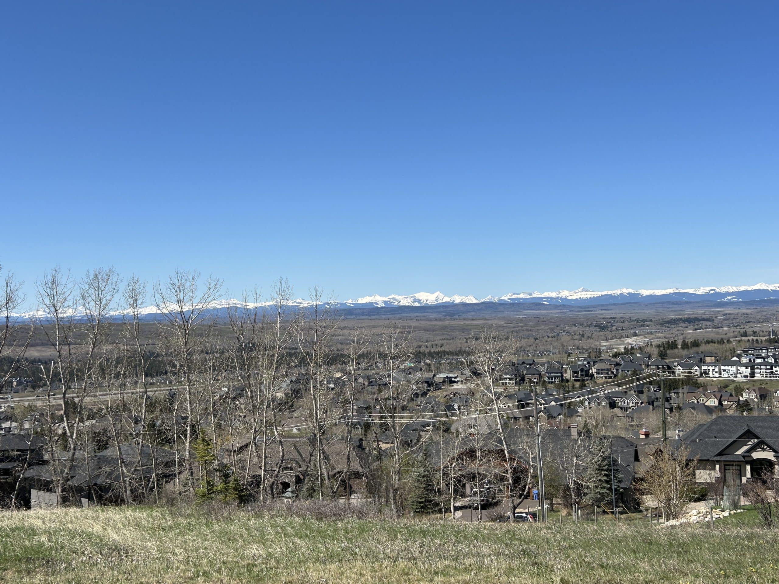 Panoramic view from Springbank Hill Calgary overlooking estate homes, rolling hills, and the snow-capped Rocky Mountains under a clear blue sky.