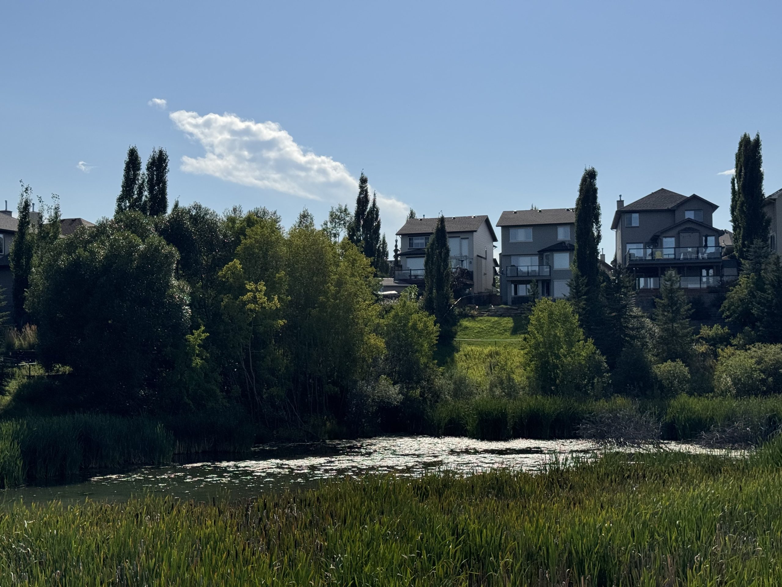 Scenic view of suburban homes in Tuscany, Calgary backing onto a pond and natural green space, showcasing peaceful community living in Alberta.