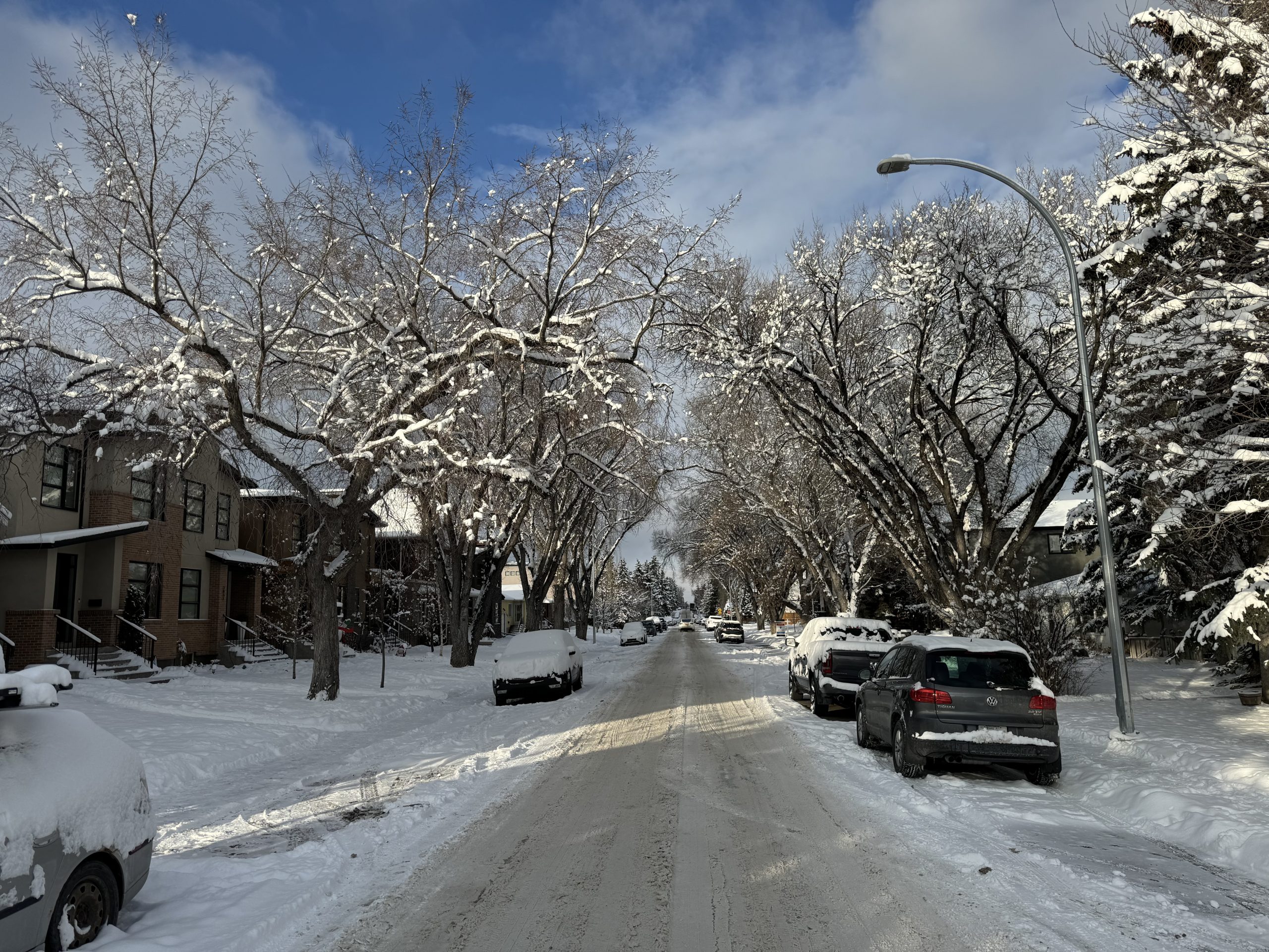 Snow-covered street in Killarney, Calgary, lined with trees and residential homes on a clear winter day, showcasing the neighbourhood’s charm.