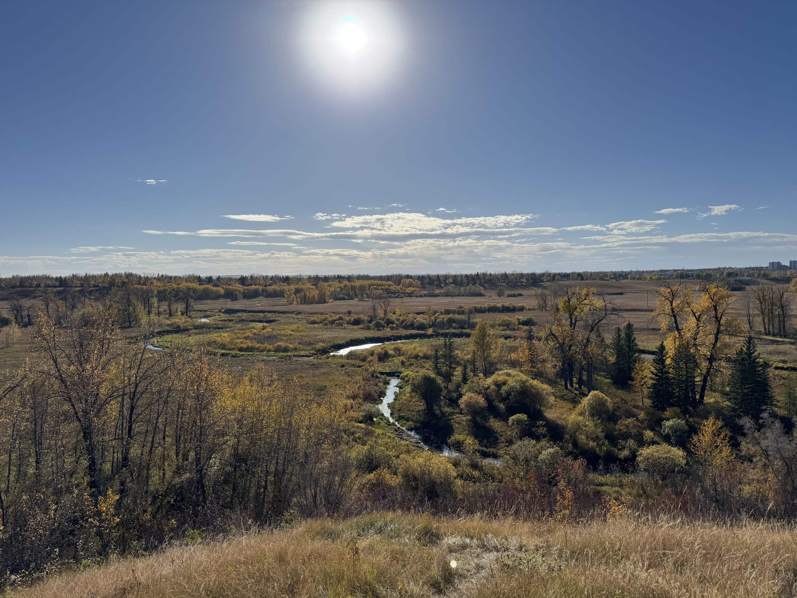 Scenic autumn view of Fish Creek Provincial Park in Calgary, featuring golden trees, open meadows, and a winding creek under a bright sun and clear blue sky.