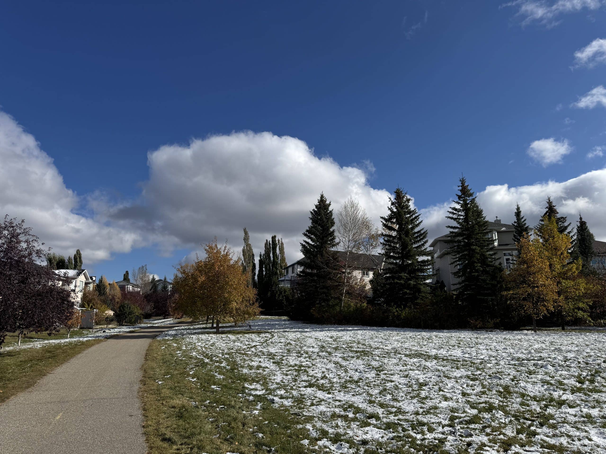 Walking path through Millrise Calgary with early snow on the ground, colourful autumn trees, and single family homes bordering the green space under a bright blue sky.