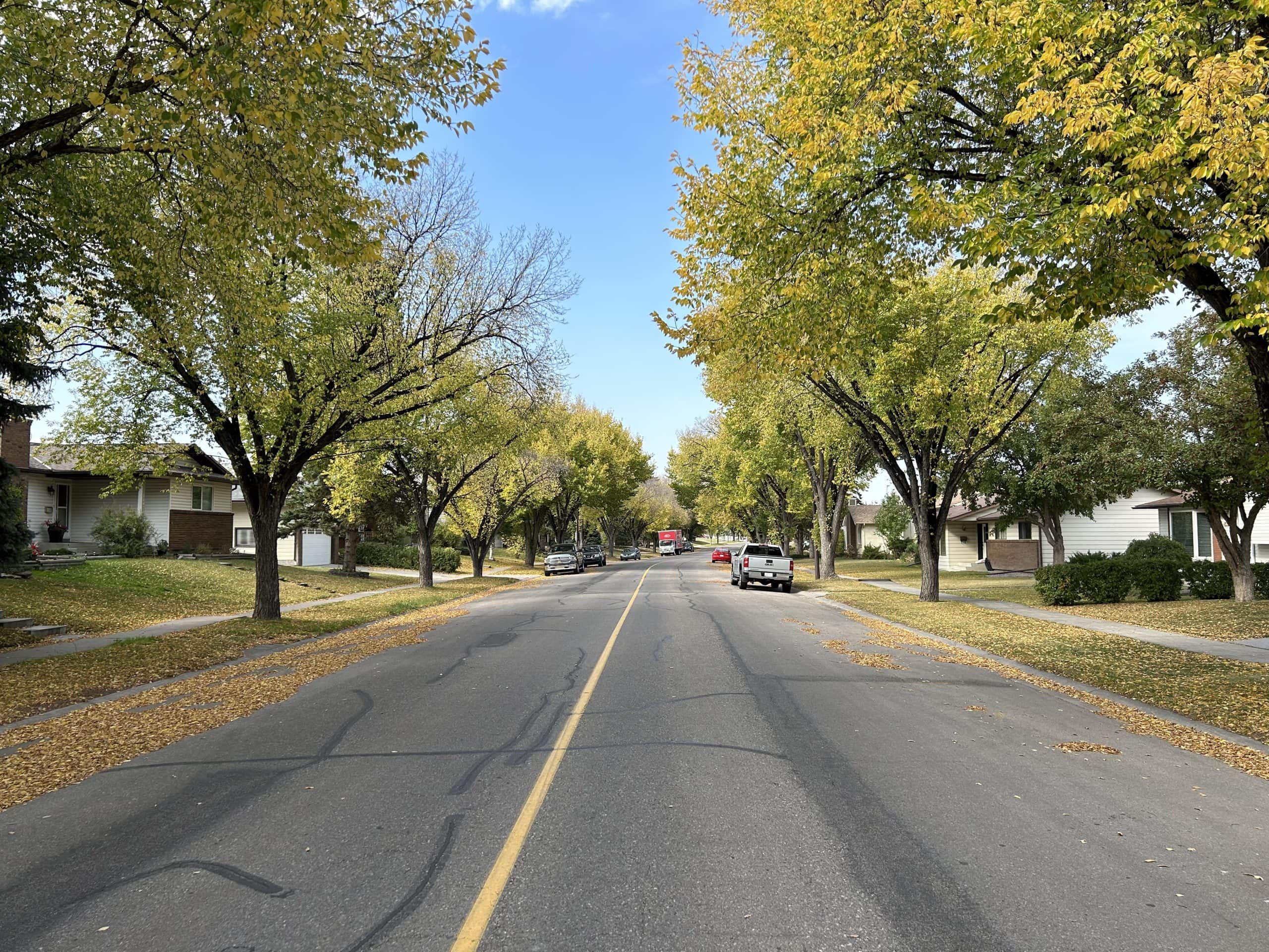 Tree lined street in Deer Ridge with fall colours, detached homes, and parked cars under a bright sky.