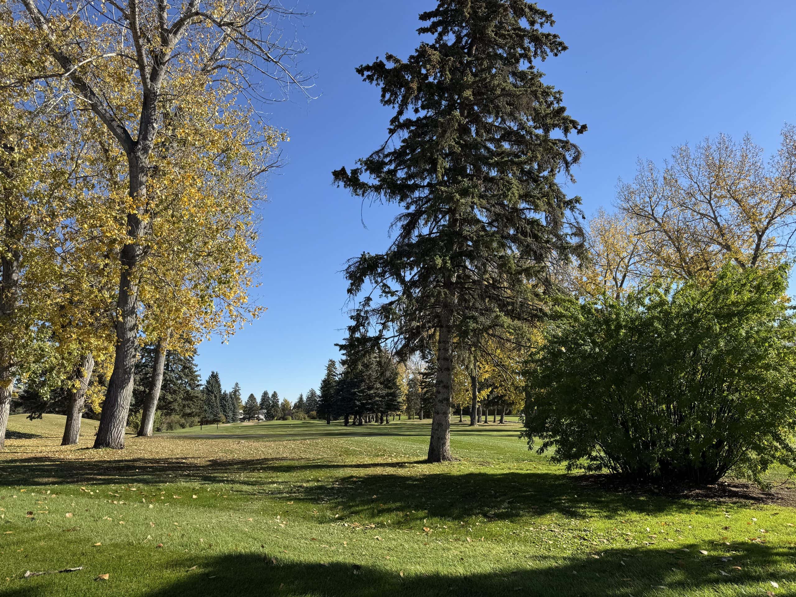Willow Park Golf Course in South Calgary with mature trees, bright fall colours, and a wide green fairway on a clear sunny day.