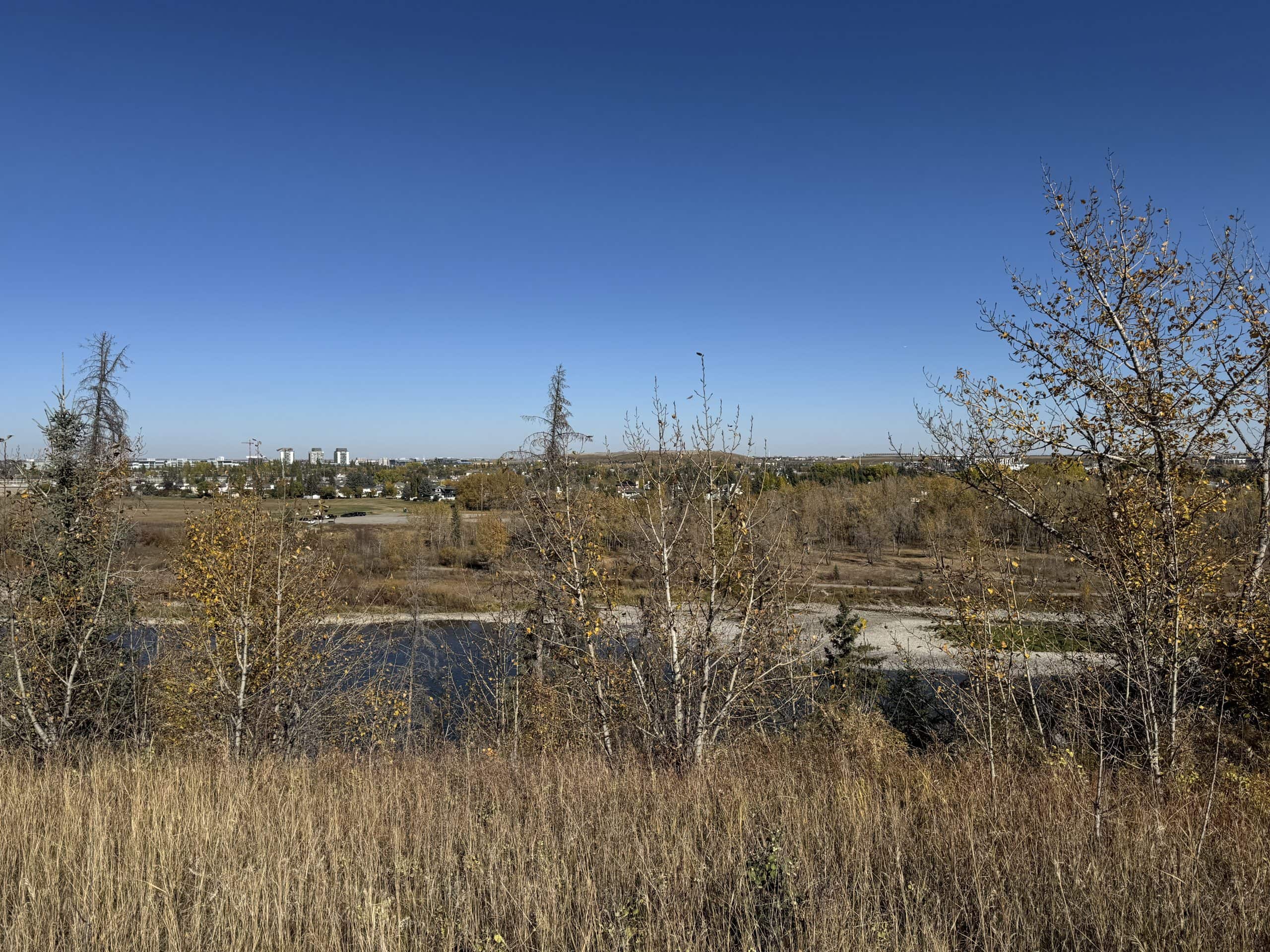 Ridge view in Diamond Cove overlooking the Bow River, fall trees, and distant city buildings under a clear blue sky.