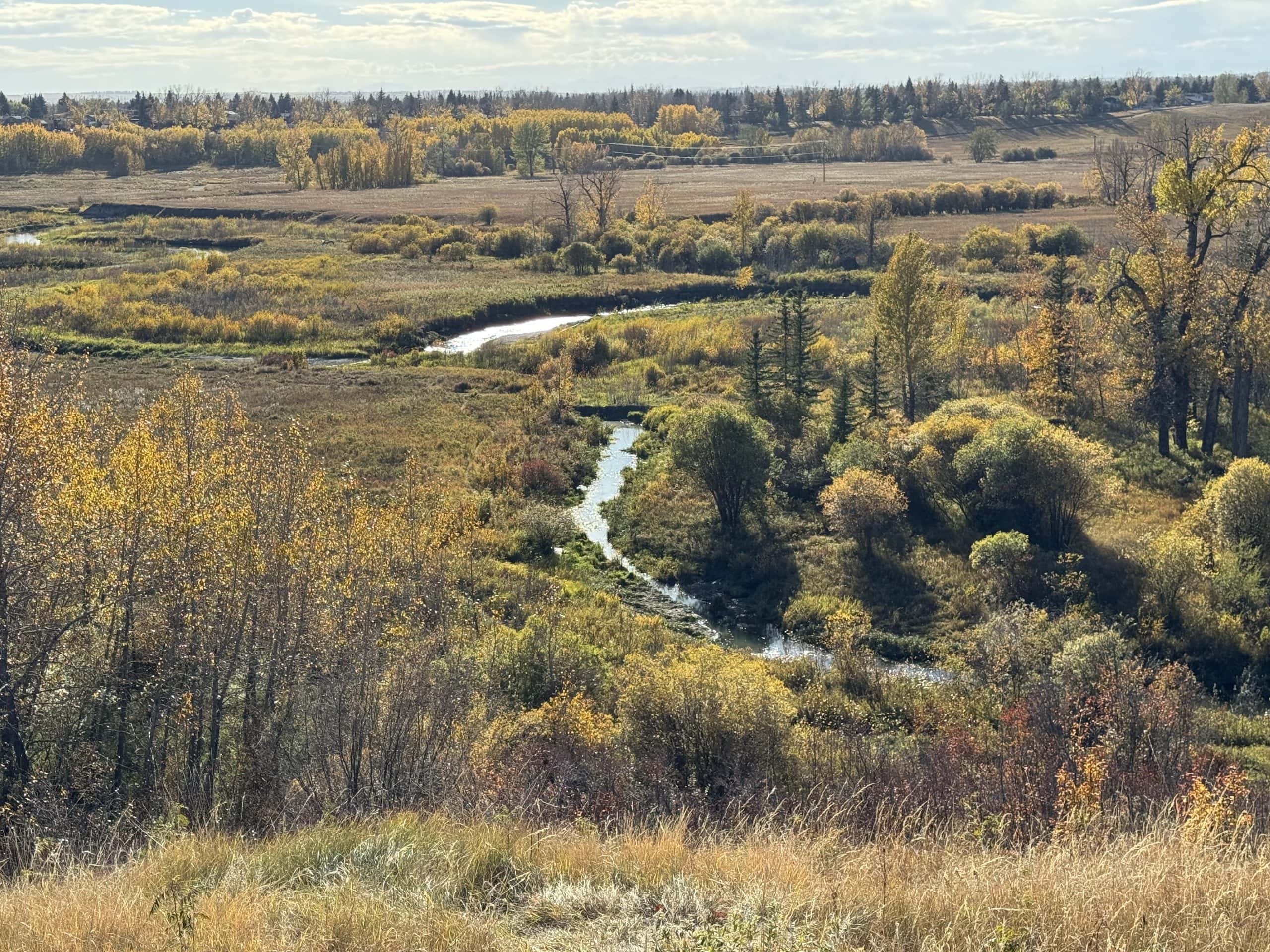 Fall view from Parkland overlooking the winding creek, golden aspen trees, and open valley landscape of Fish Creek Park on a bright autumn afternoon in South Calgary.
