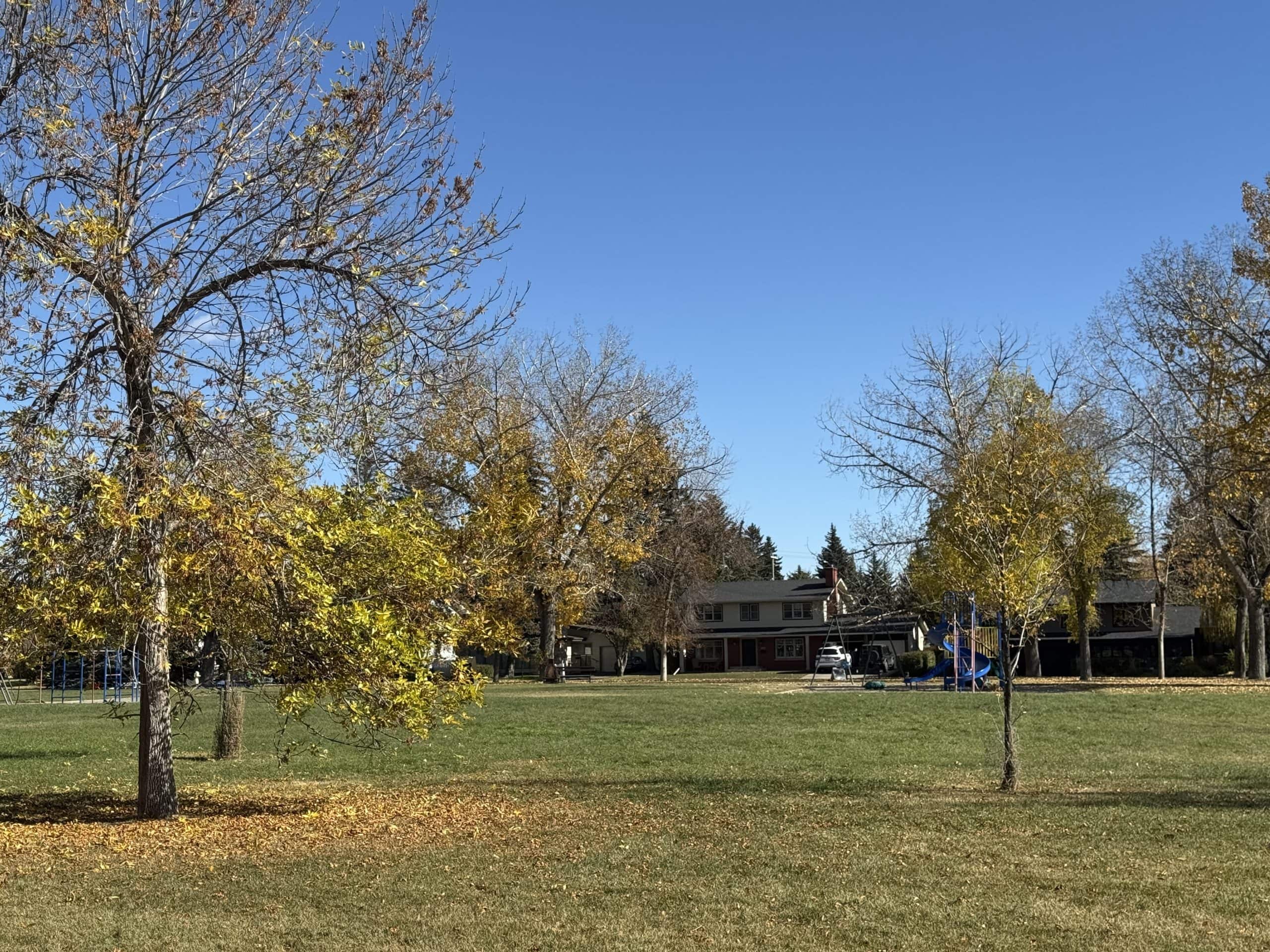 Open green space in Chinook Park with fall trees, a playground, and nearby single family homes under a clear blue sky.