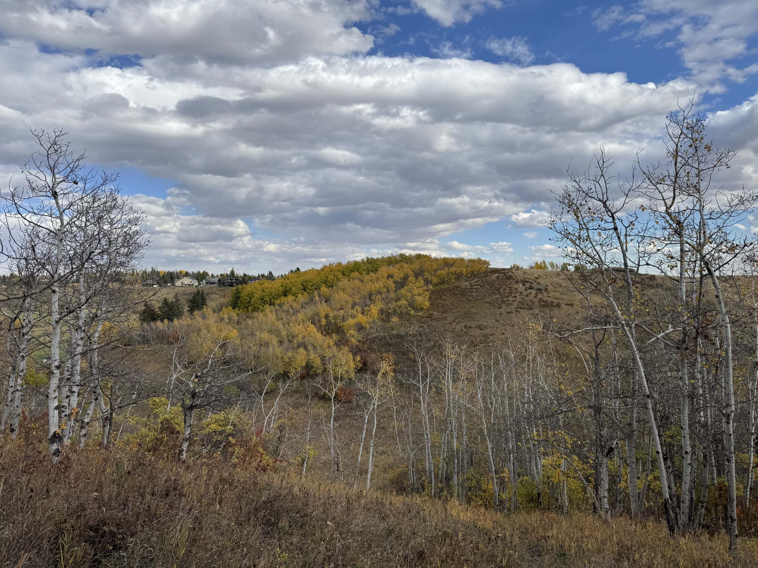 Ridge view from Woodbine overlooking the fall colours of Fish Creek Park with rolling hills, aspen trees, and open prairie scenery on a bright autumn day in South Calgary.