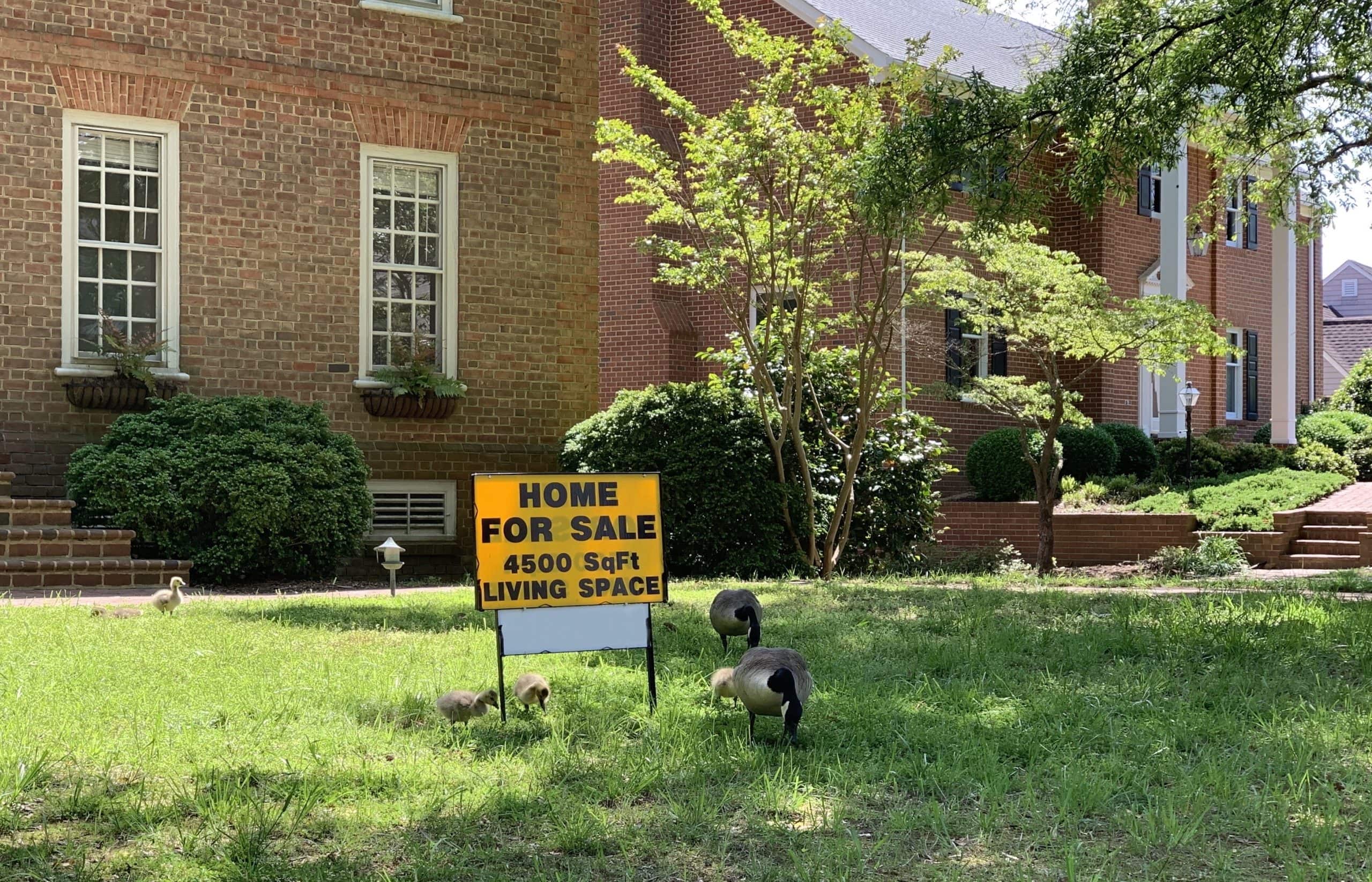 Brick home in Calgary with a Home For Sale  sign placed on the front lawn alongside geese, showing why curb appeal matters when selling privately.