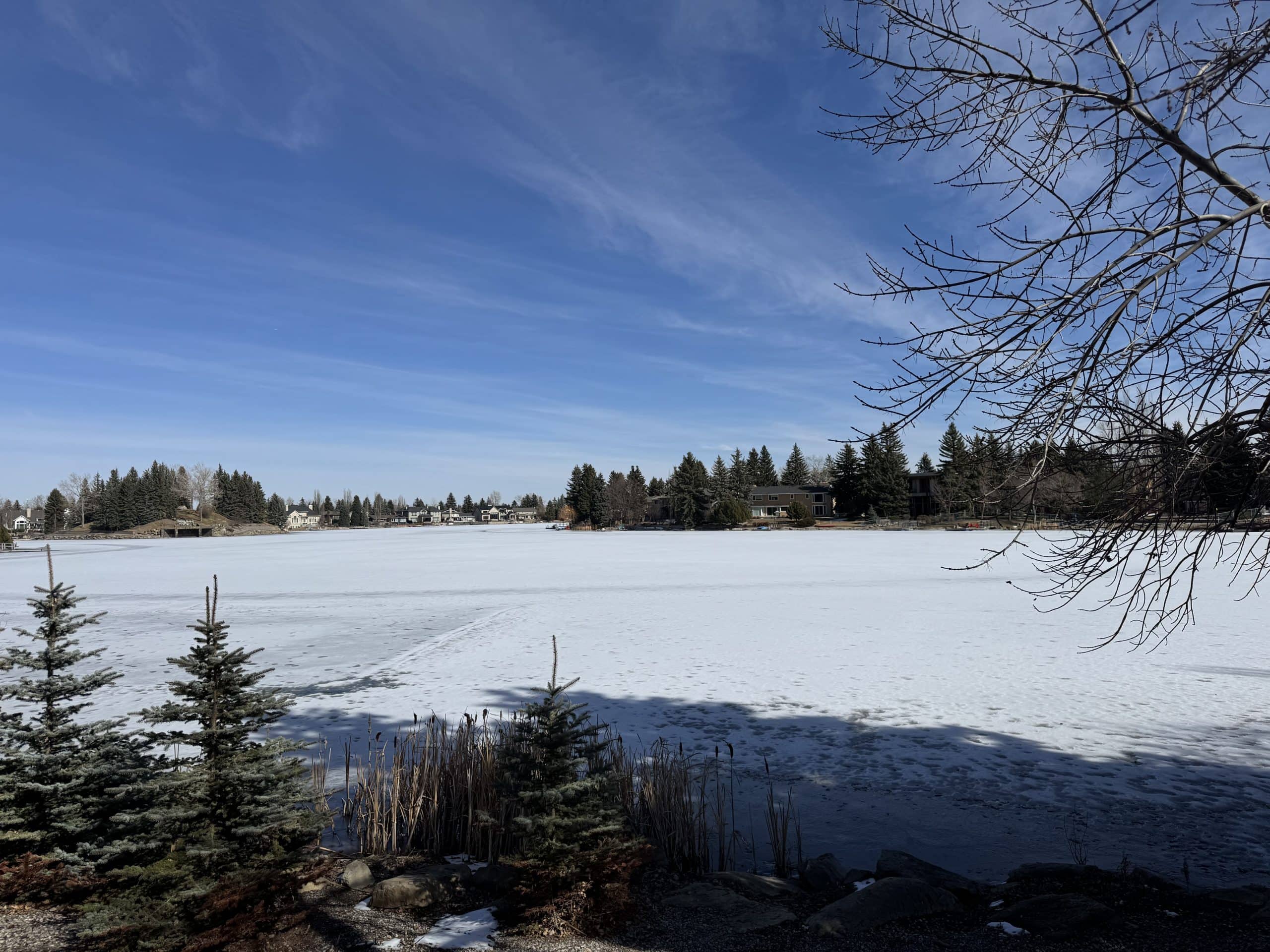 Frozen Lake Bonavista in Calgary during winter with snow covered ice, surrounding homes, and mature trees under a clear blue sky
