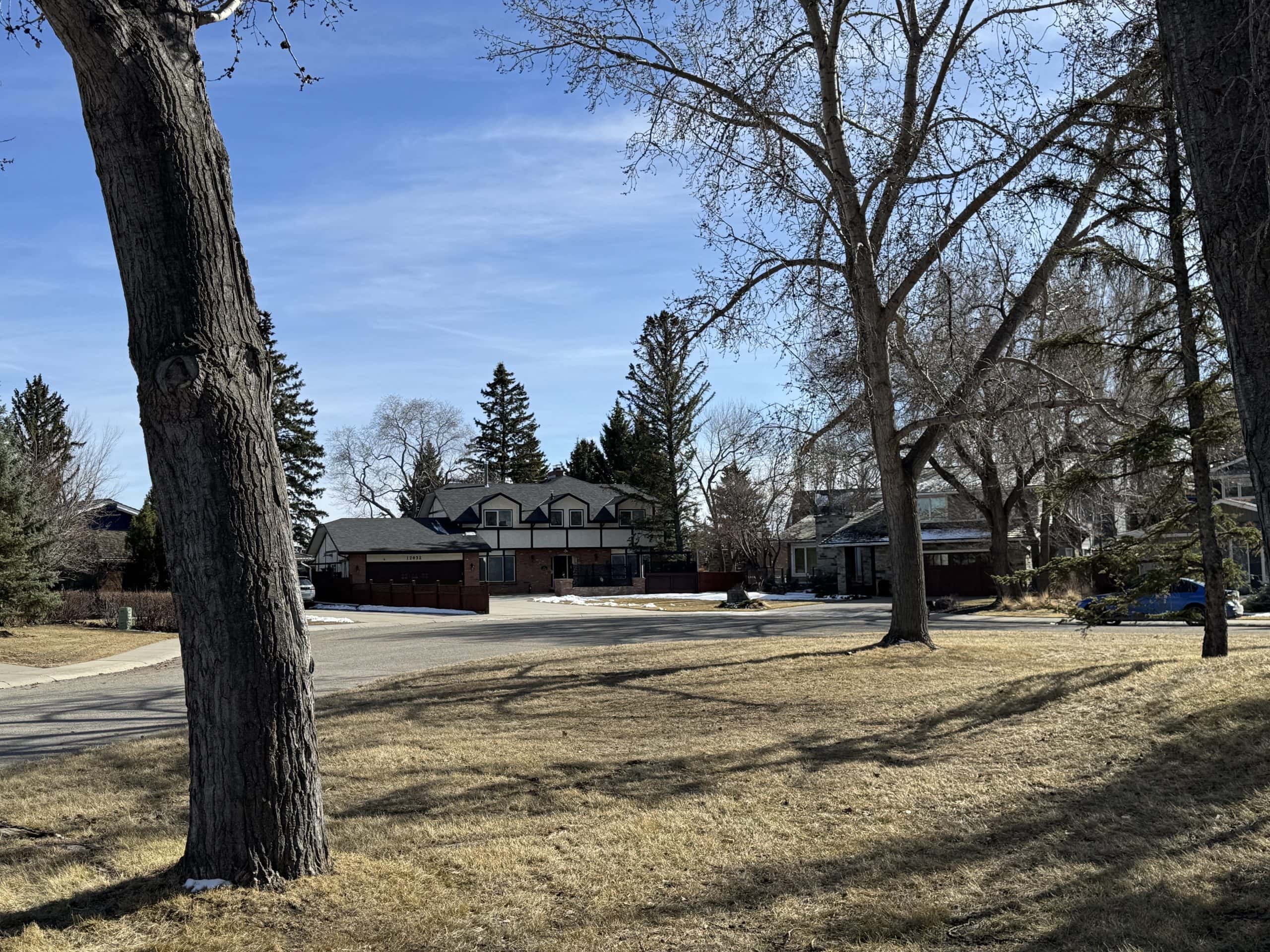 Quiet residential street in Lake Bonavista Calgary featuring mature trees, spacious lots, and well maintained homes with a peaceful suburban atmosphere