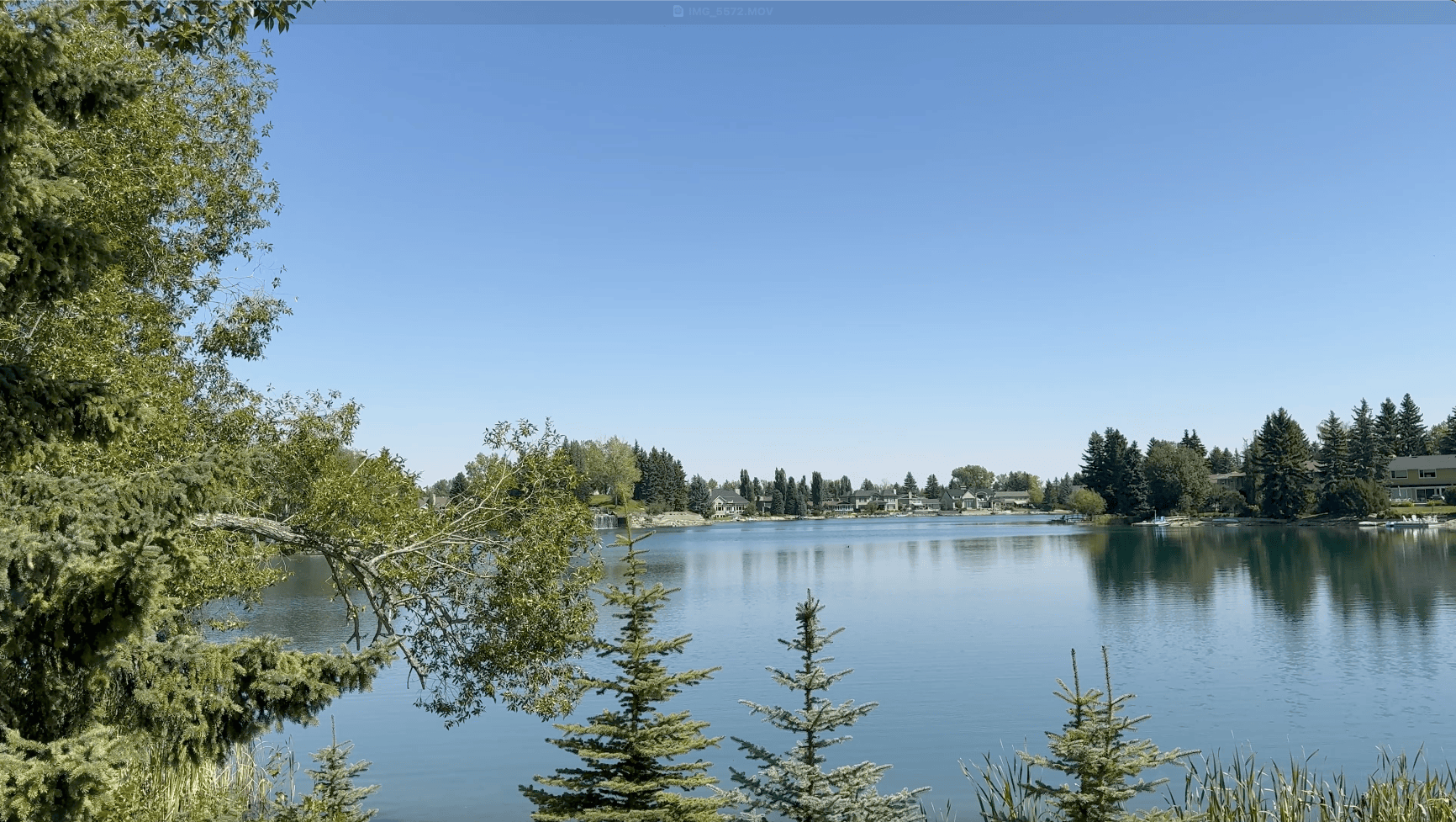 Private lake in Lake Bonavista Calgary with calm blue water, surrounding homes, and lush trees creating a peaceful and exclusive community setting