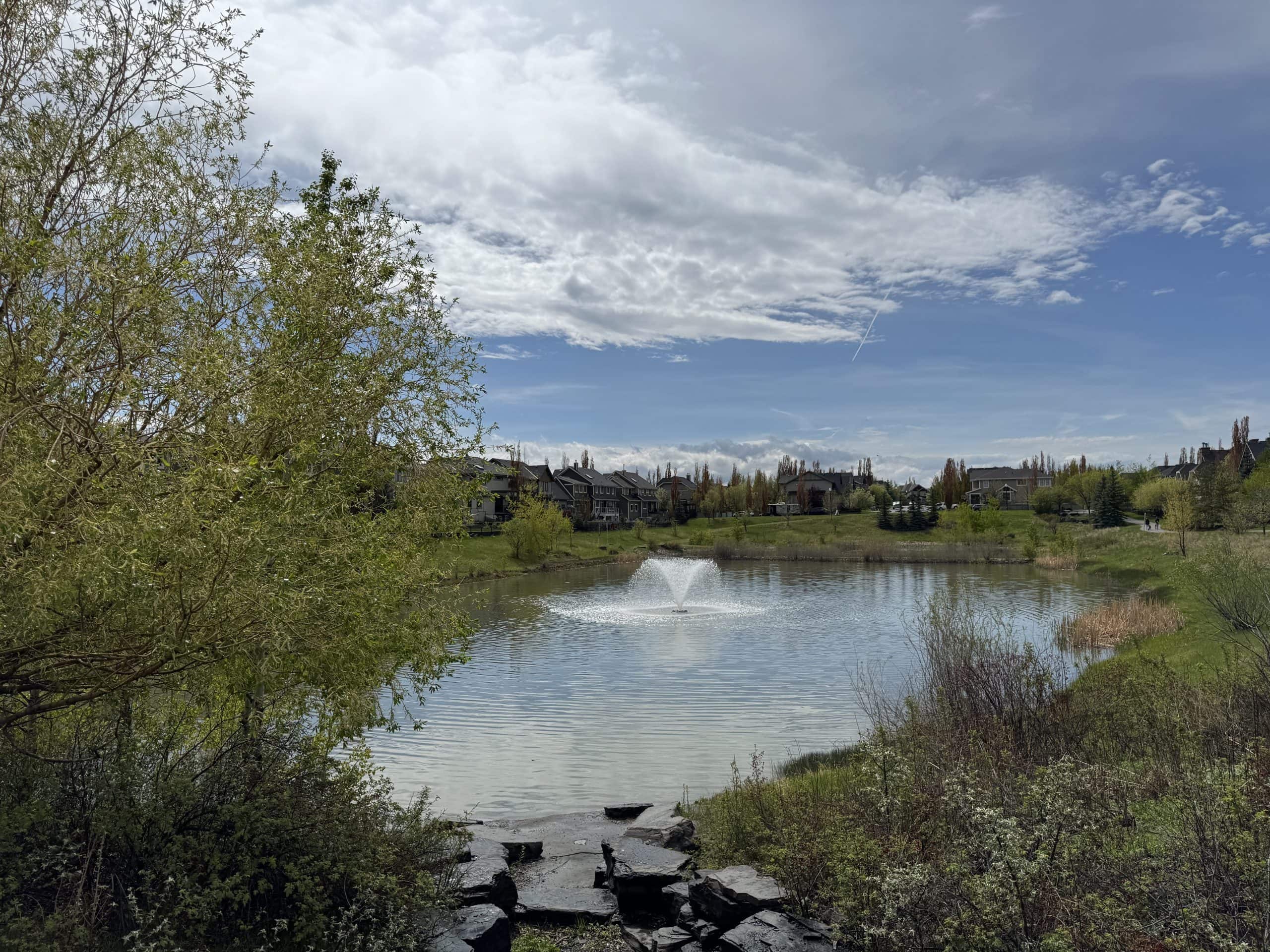 Peaceful pond and fountain in West Springs Calgary surrounded by walking paths, mature trees, and upscale family homes under dramatic spring skies.