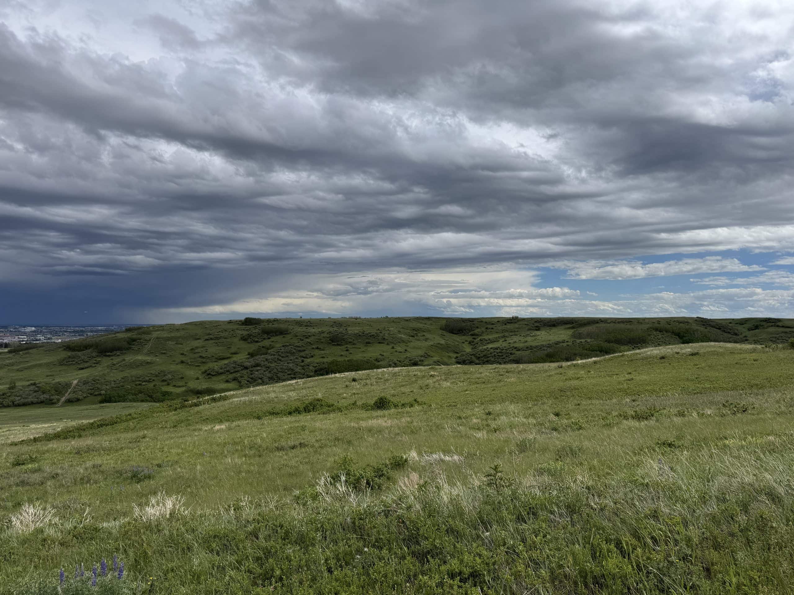 Expansive grasslands and scenic trails at nearby Nose Hill Park provide Sage Hill residents with one of Calgary's best destinations for hiking, walking, cycling, and enjoying nature.