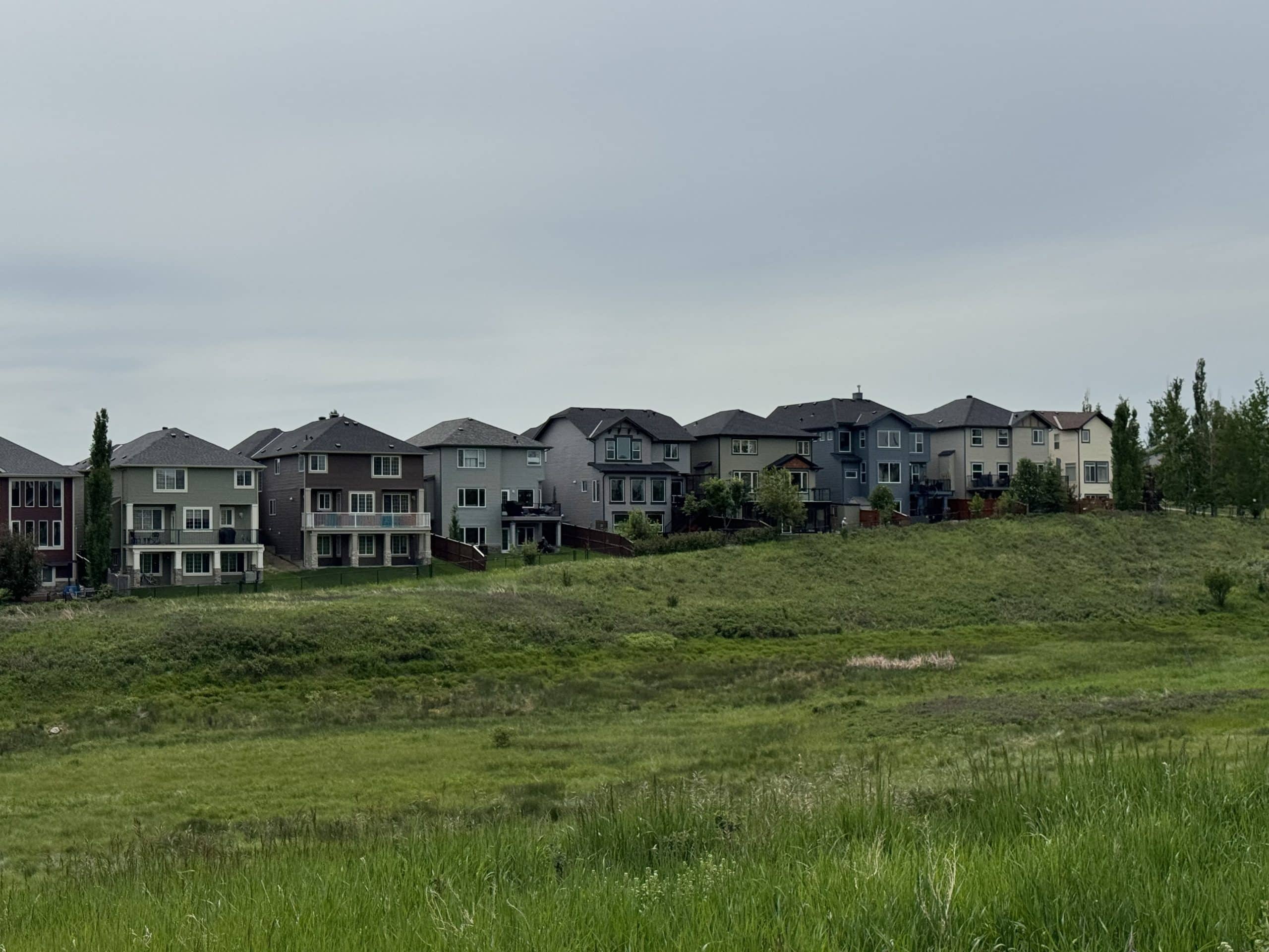 Modern homes back onto one of Sage Hill's many natural green spaces, showcasing the community's contemporary architecture, larger family homes, and peaceful suburban setting in northwest Calgary.