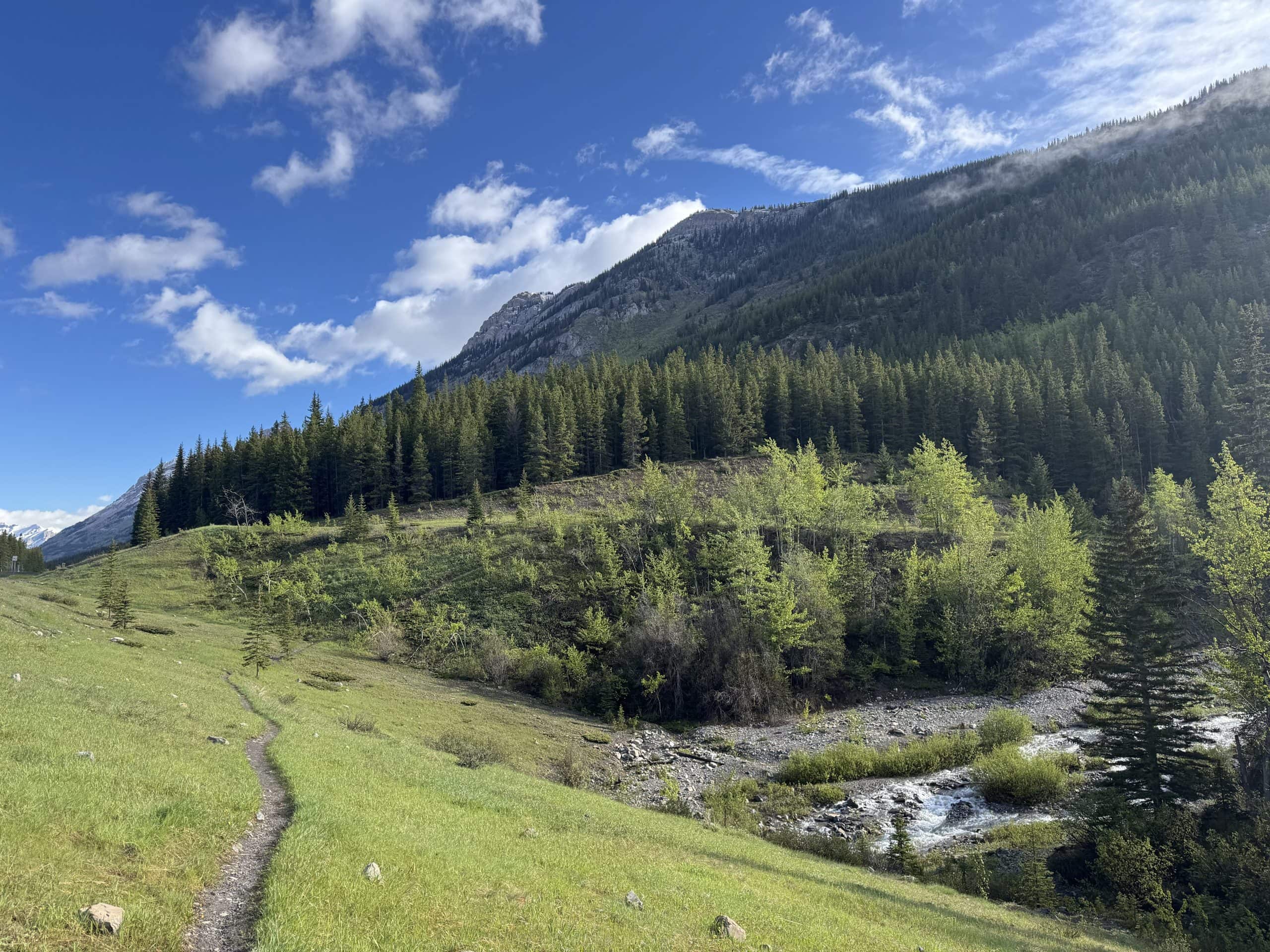 King Creek Ridge trail crossing a mountain stream near the start of the hike in Kananaskis Country.