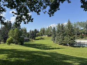 Grassy park with mature trees in Glendale, Calgary, showcasing the neighbourhood's beautiful green space and established residential character.