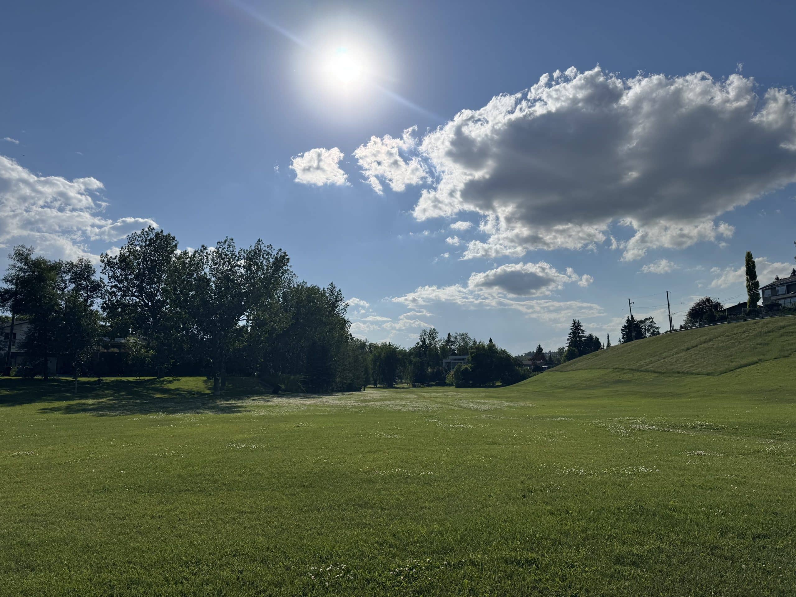 Open green space in Glendale, Calgary, featuring mature trees and one of the neighbourhood's peaceful park areas.