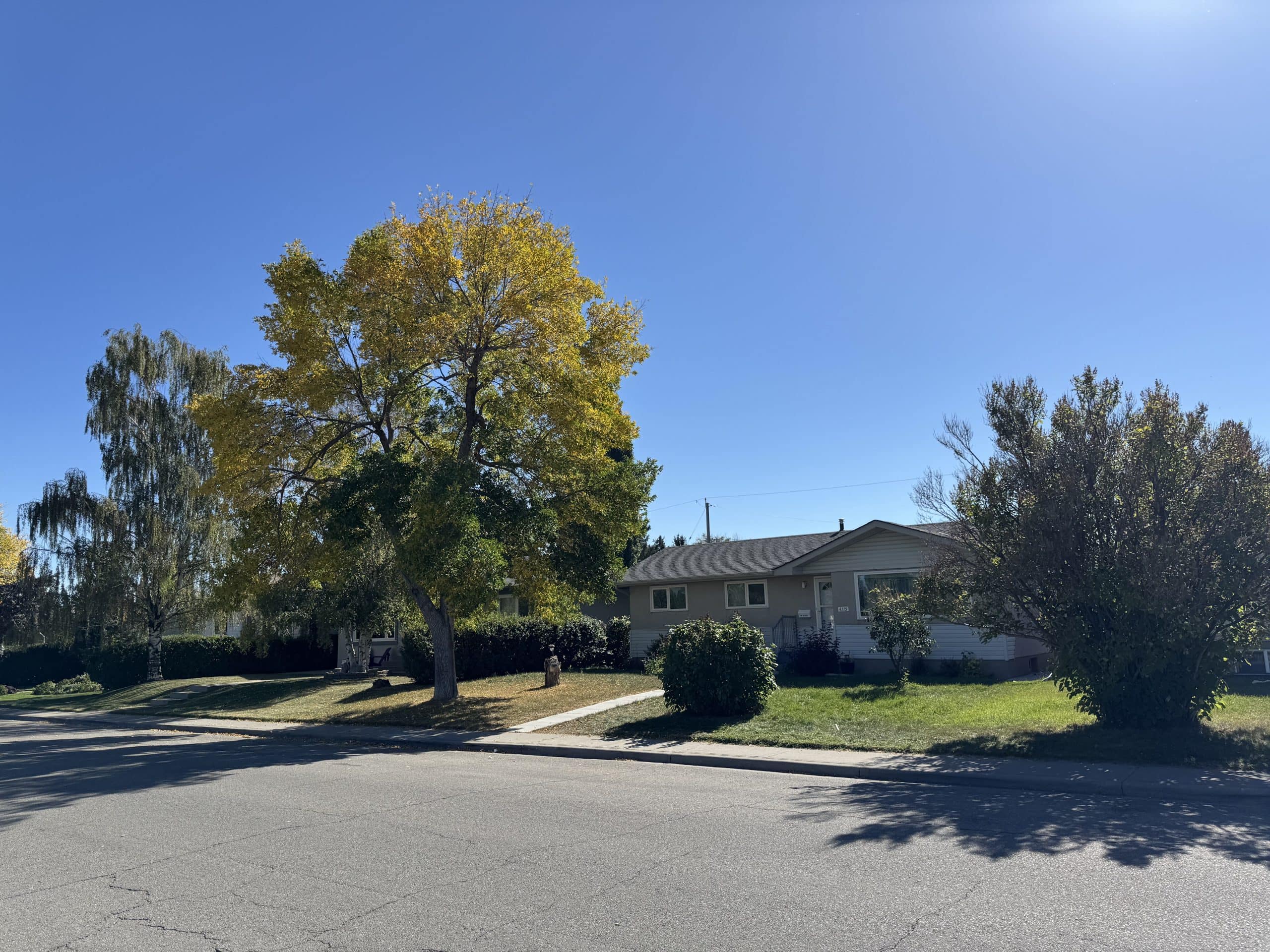 Mature tree lined street in Glenbrook, Calgary, featuring well maintained mid century homes, spacious lots, and the established character that makes this west Calgary neighbourhood popular with homebuyers.