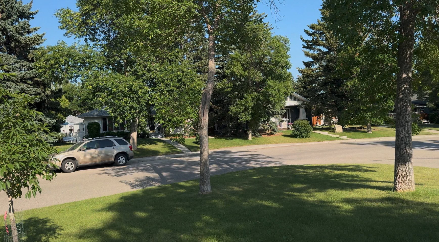 Glendale's mature trees, spacious lots, and quiet residential streets are some of the biggest reasons buyers are drawn to the community.