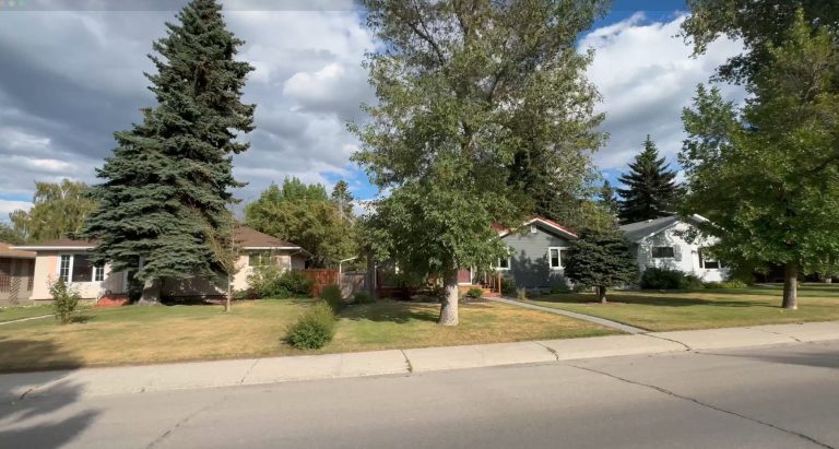 Mature tree lined street with classic bungalow homes in Glamorgan, one of Calgary's established southwest neighbourhoods.
