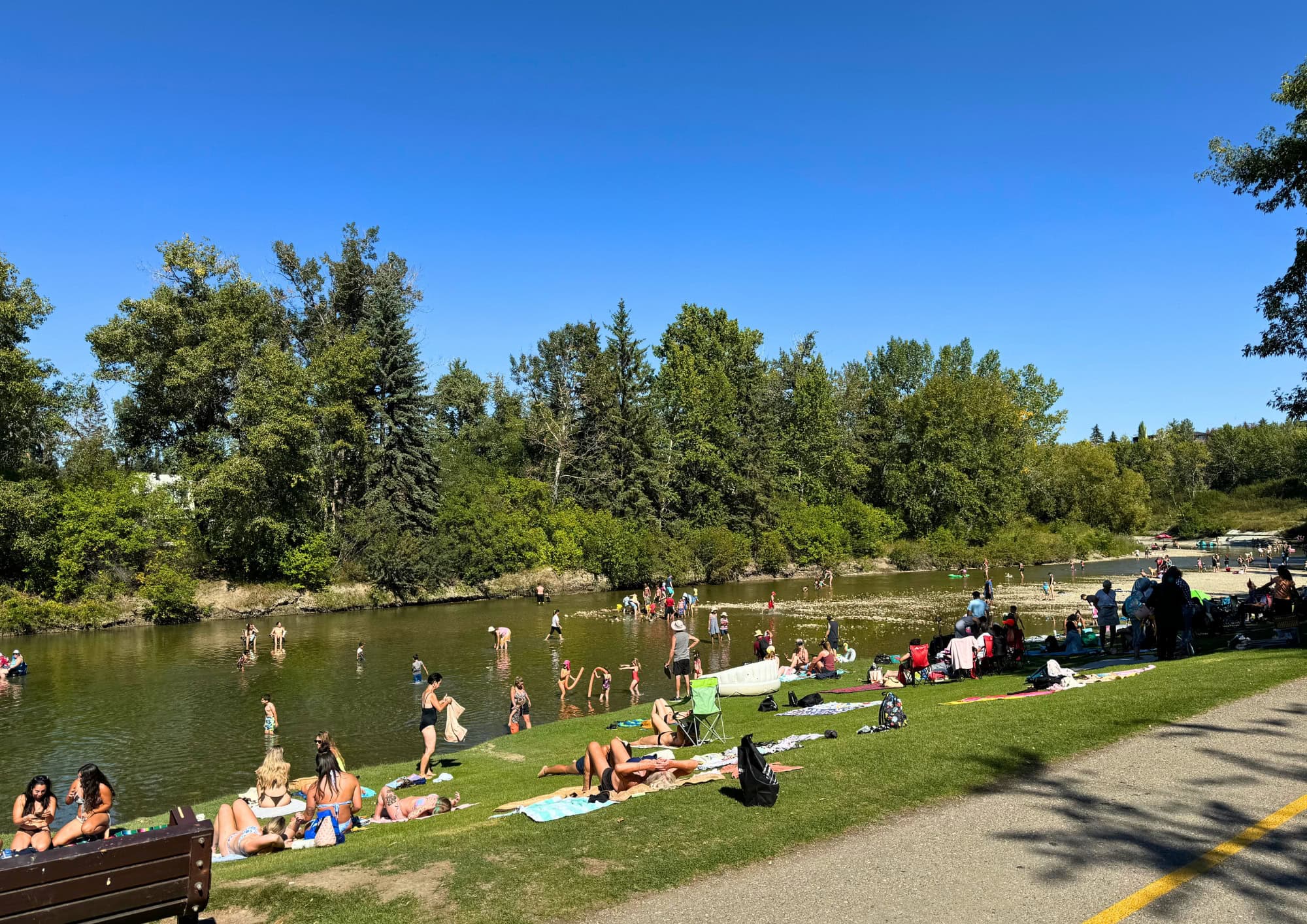 Discover Elboya, a sought after Calgary neighbourhood known for its tree lined streets, excellent schools, Elbow River access, and convenient location close to downtown, parks, and amenities.