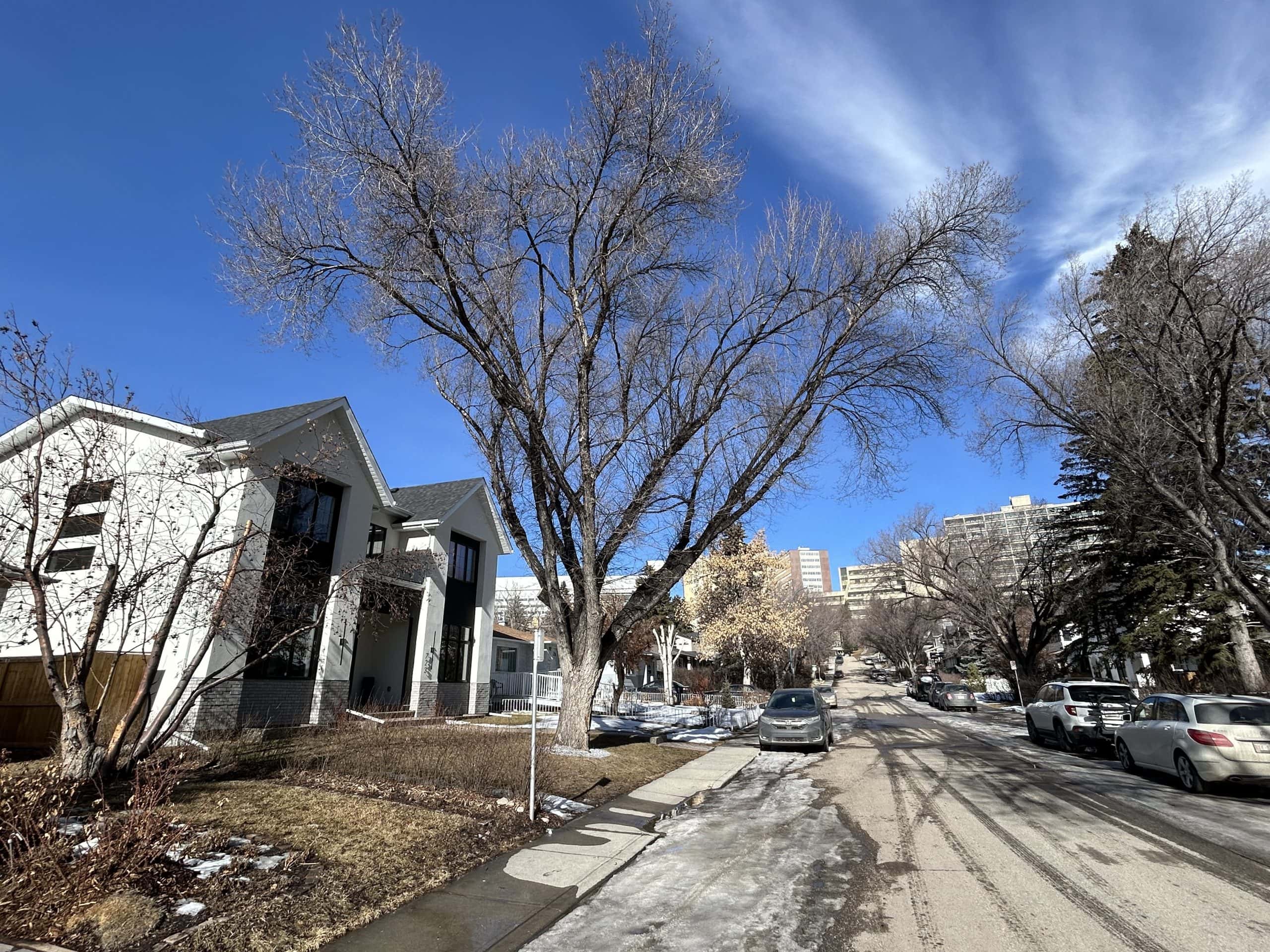 Inner city Calgary residential street showing a mix of newer infill homes and older properties close to downtown