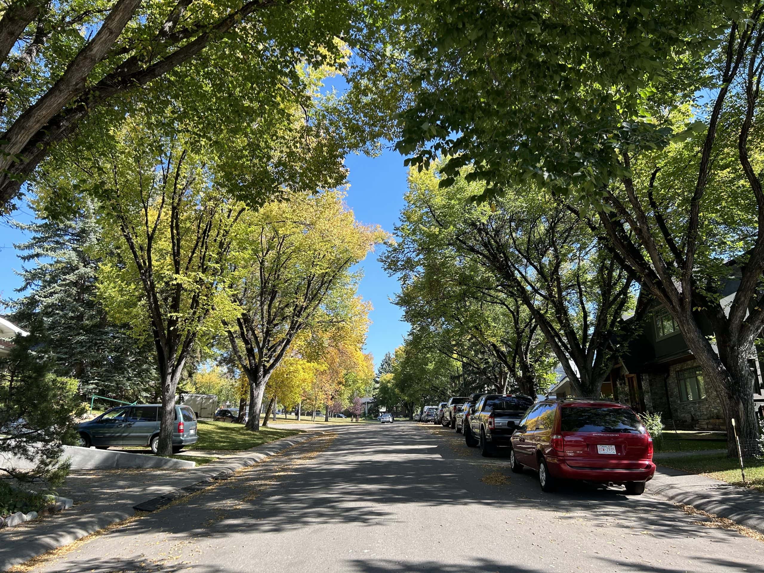 Mature tree lined residential street in Calgary’s Triwood area, including the established communities of Brentwood, Charleswood and Collingwood.