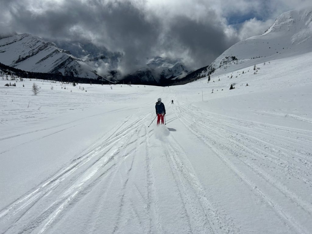 Skier descending through fresh snow at Lake Louise Ski Resort, surrounded by the Canadian Rockies in Banff National Park, Alberta.