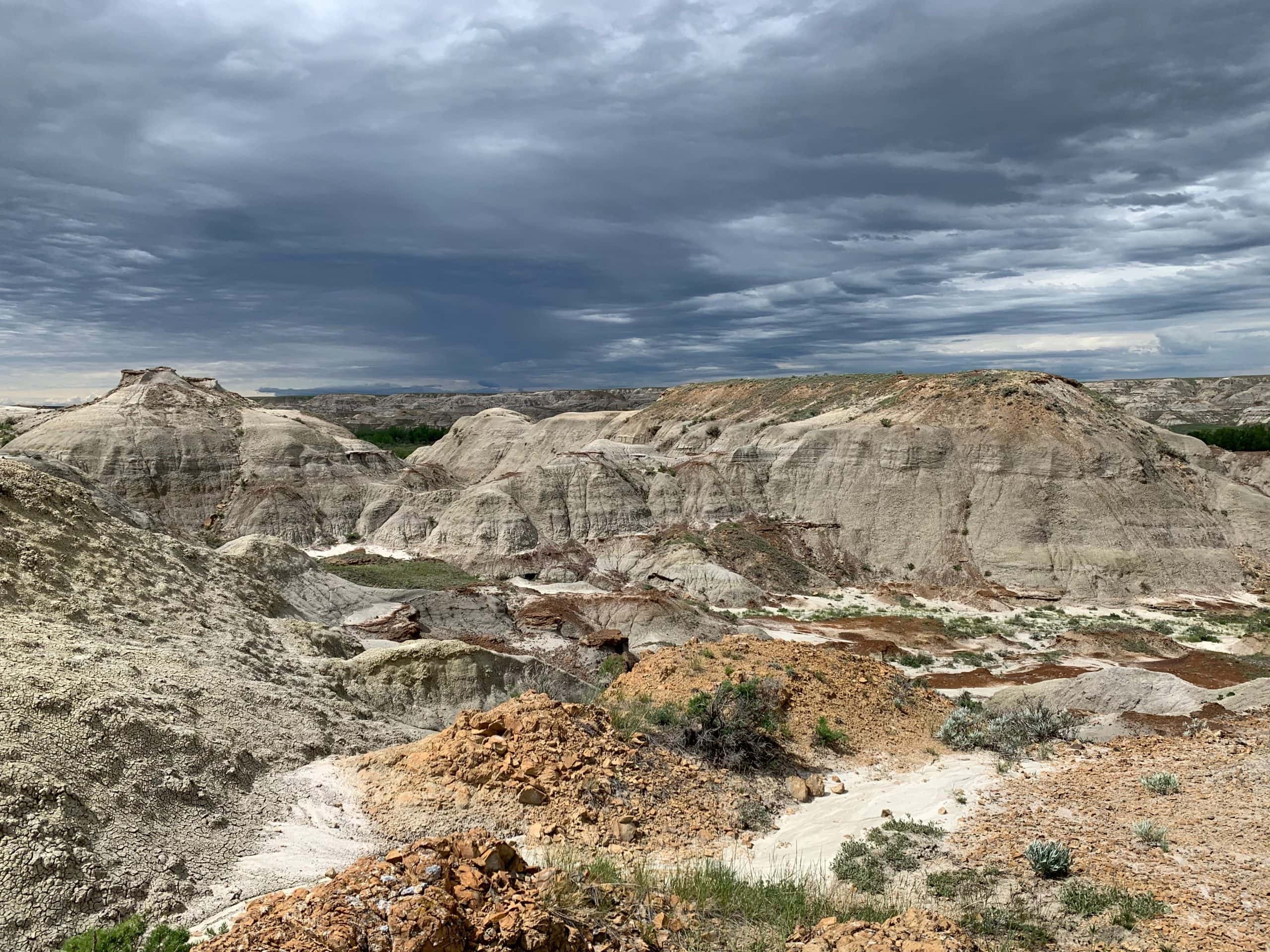 Badlands landscape at Dinosaur Provincial Park in Alberta.