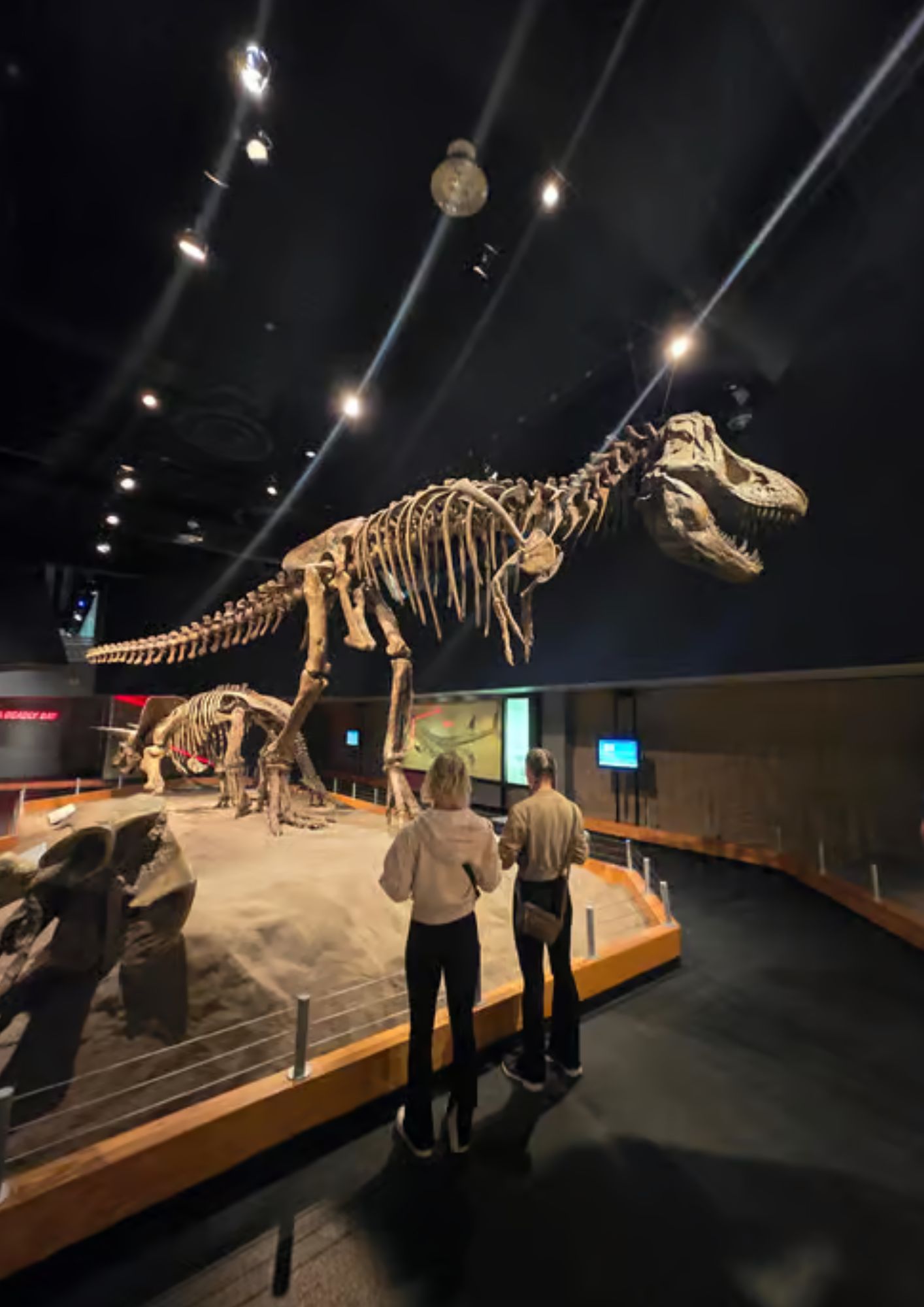 Tyrannosaurus rex skeleton on display inside the Royal Tyrrell Museum of Palaeontology in Drumheller, Alberta.